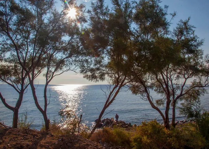 Abelomilos Exclusive