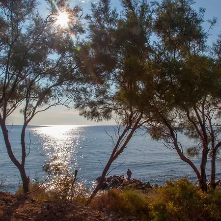 Abelomilos Exclusive